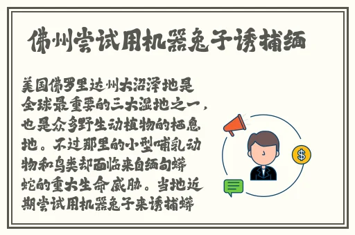 色狼导航